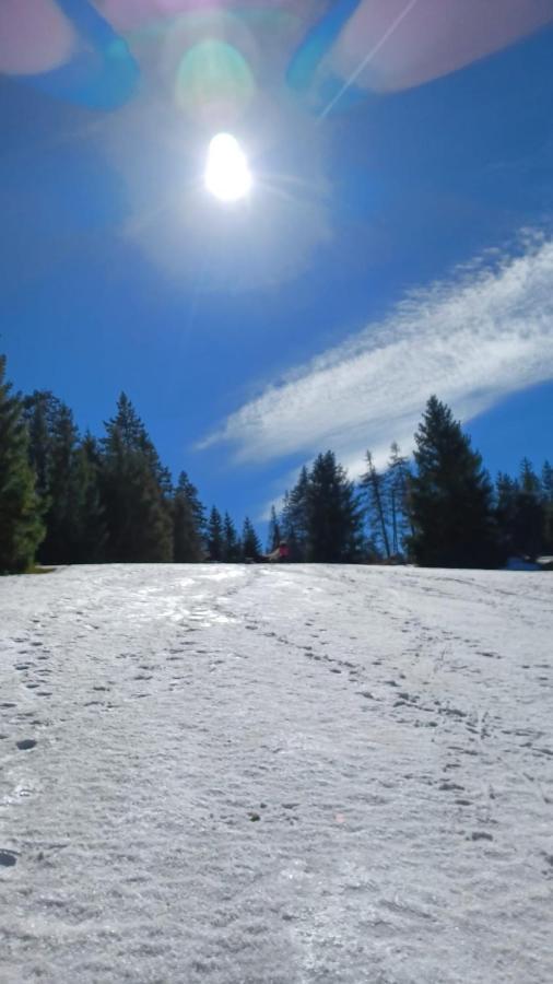 Harz-Hütte - schnuckelig FeWo in St. Andreasberg Sankt Andreasberg Exterior foto