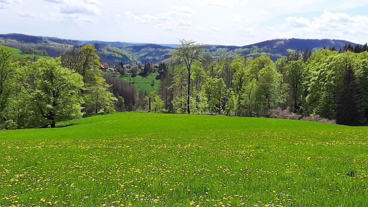 Harz-Hütte - schnuckelig FeWo in St. Andreasberg Sankt Andreasberg Exterior foto