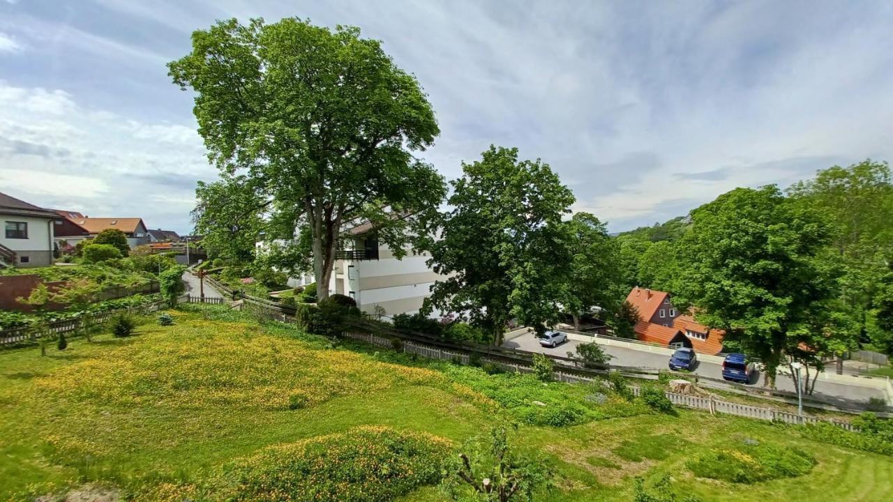 Harz-Hütte - schnuckelig FeWo in St. Andreasberg Sankt Andreasberg Exterior foto